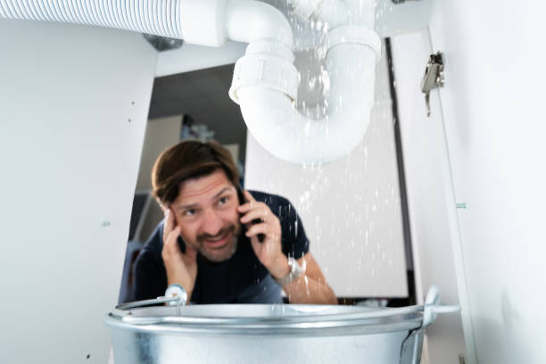 Best Sewer Line Repair  in Heyworth, IL