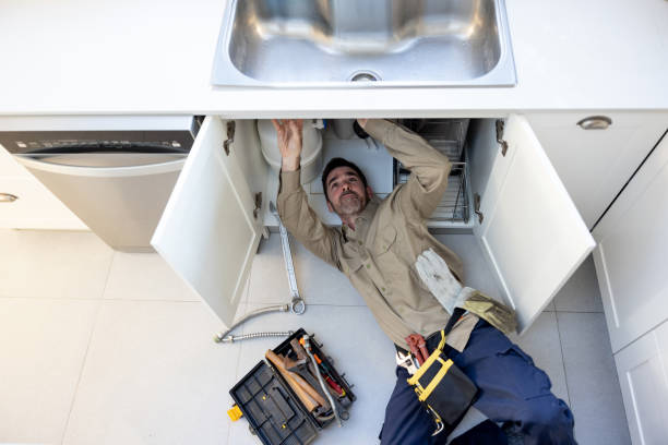 Best Commercial Plumbing Services  in Heyworth, IL