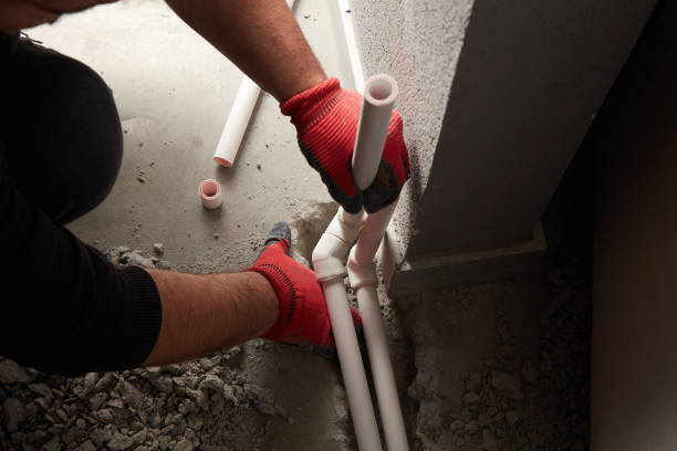 Best Local Plumber Services  in Heyworth, IL