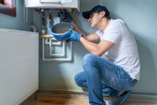 Best Local Plumber Services  in Heyworth, IL